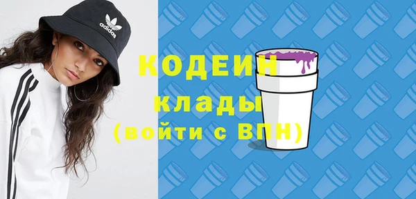 прущие грибы Кодинск