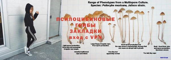 метадон Козельск