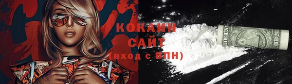 прущие грибы Кодинск
