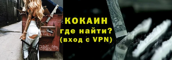 прущие грибы Кодинск