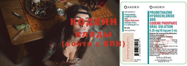 прущие грибы Кодинск