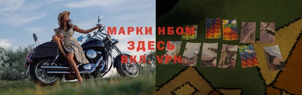 прущие грибы Кодинск