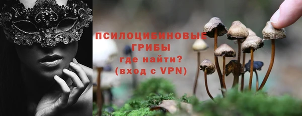 дживик Козловка