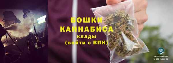 дживик Козловка