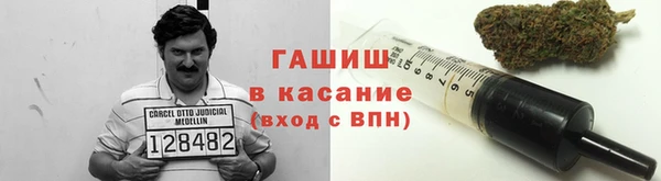 прущие грибы Кодинск