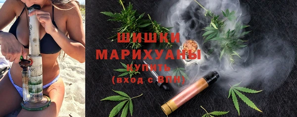 дживик Козловка