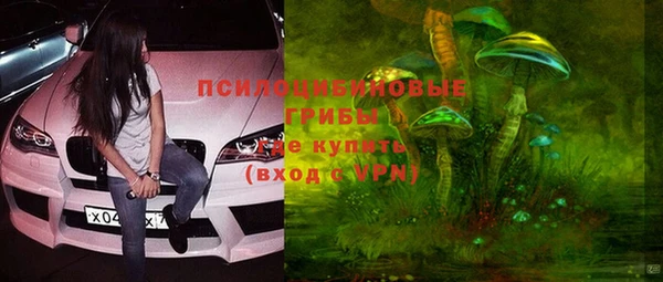метадон Козельск
