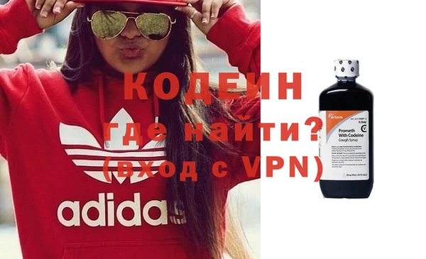 прущие грибы Кодинск