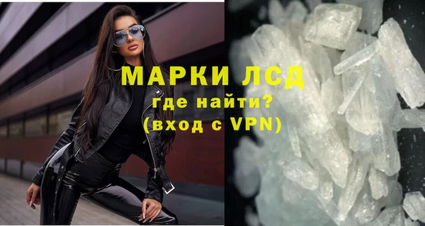 прущие грибы Кодинск